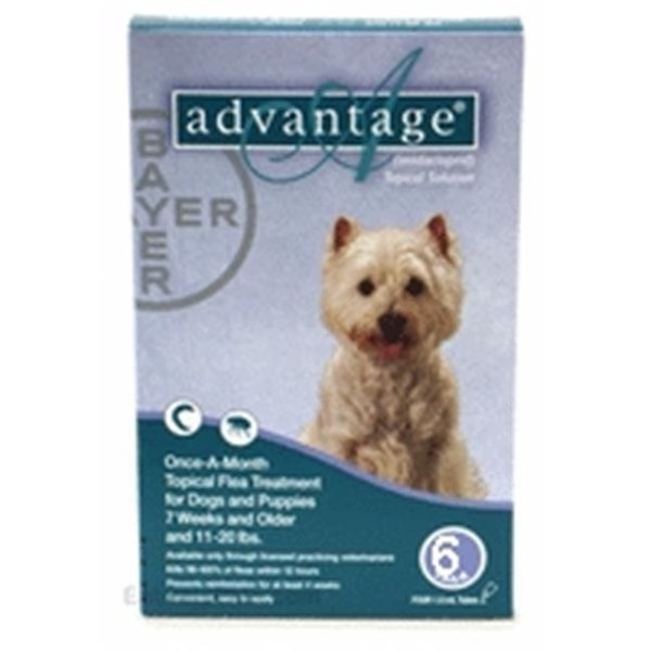 Bayer Bayer ADVANTAGE6-TEAL Advantage 6 Pack Dog 11-22 Lbs. - Teal ADVANTAGE6-TEAL